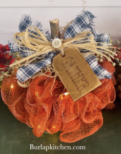 pumpkin loofah with fairy lights
